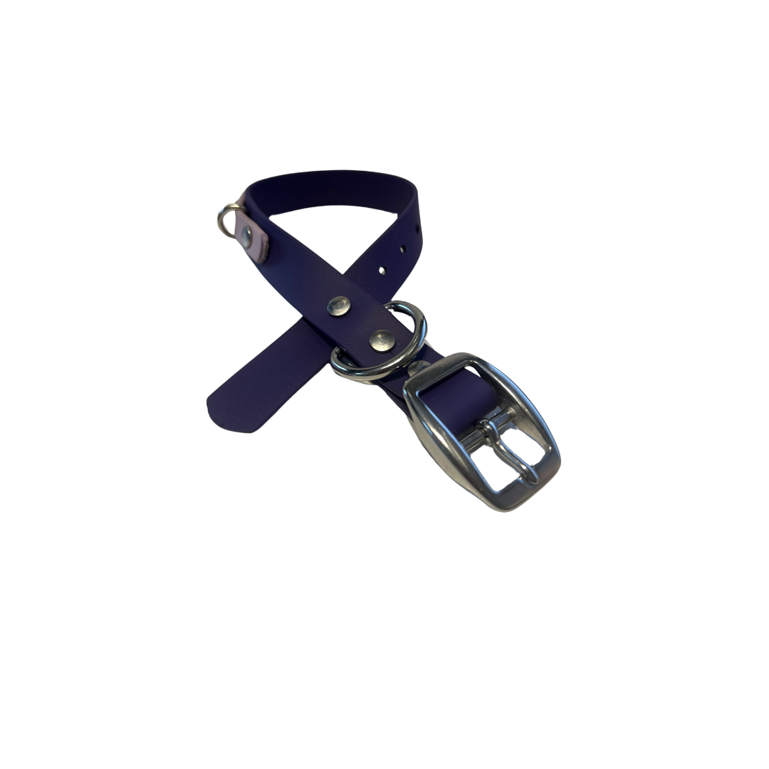 Promo Collier 1’’ en Biothane – Élégance, Résistance et Confort pour Chien