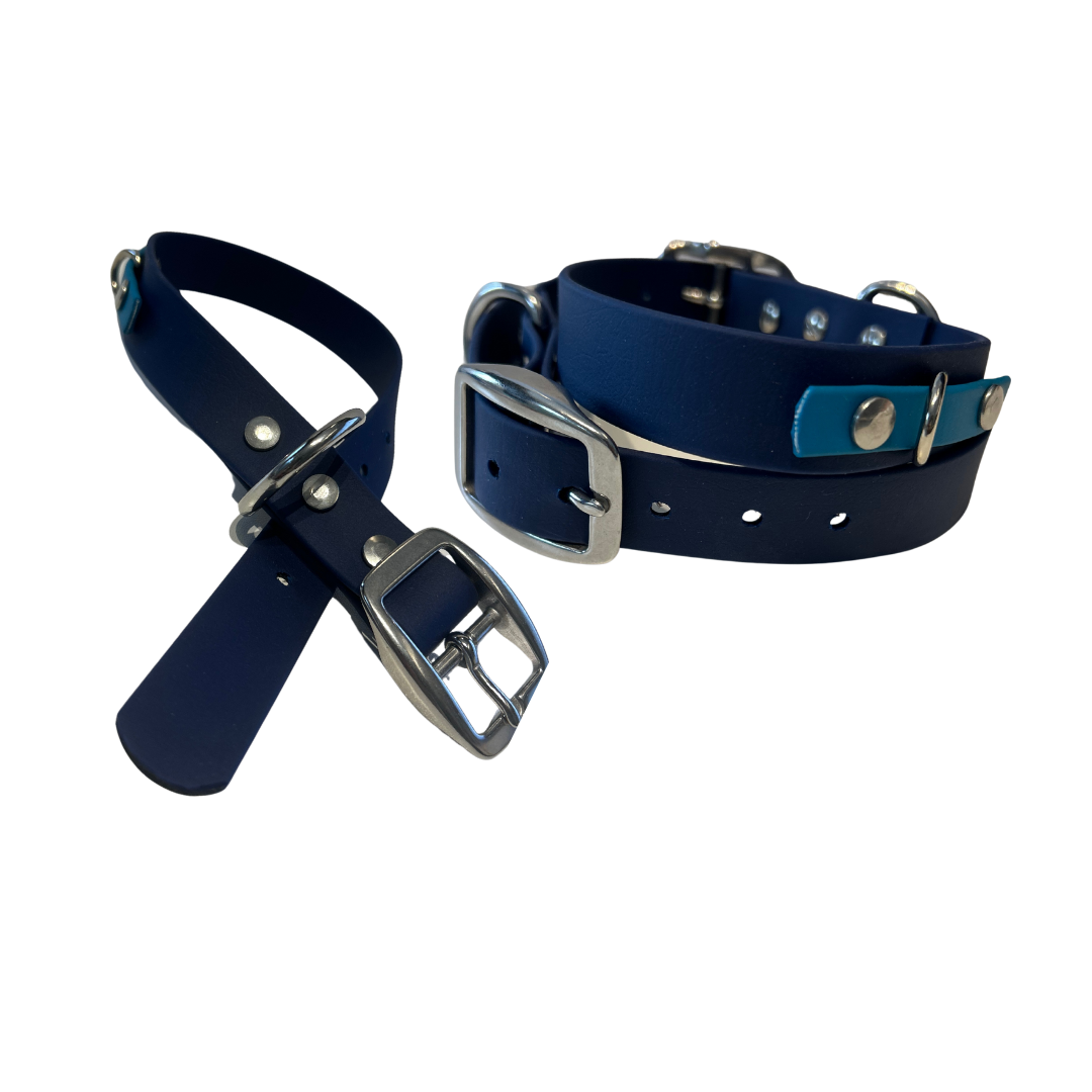 Promo Collier 1’’ en Biothane – Élégance, Résistance et Confort pour Chien