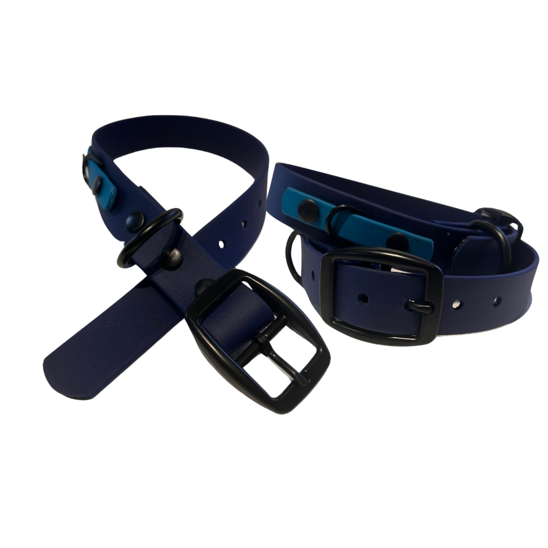 Promo Collier 1’’ en Biothane – Élégance, Résistance et Confort pour Chien