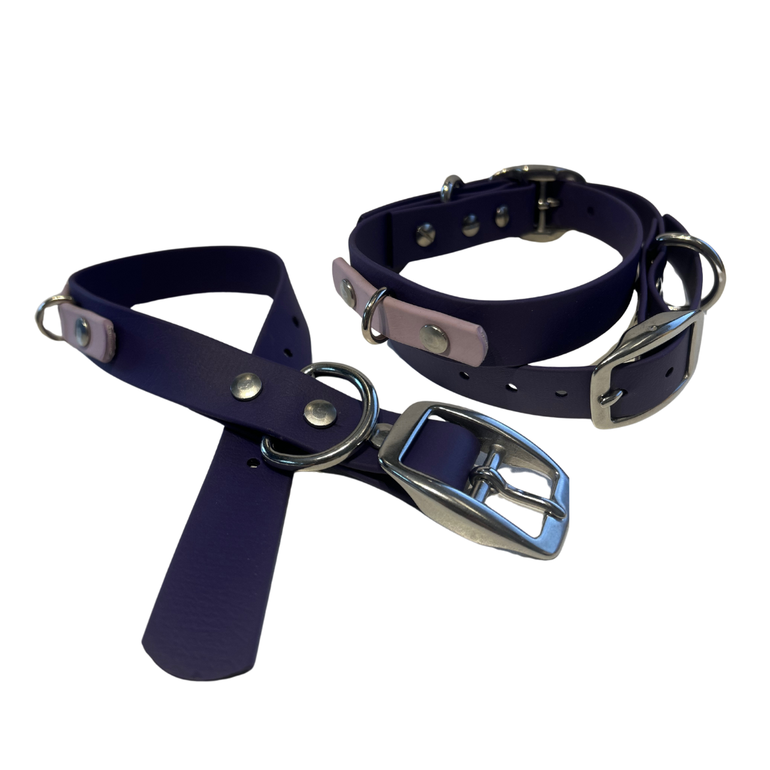 Promo Collier 1’’ en Biothane – Élégance, Résistance et Confort pour Chien