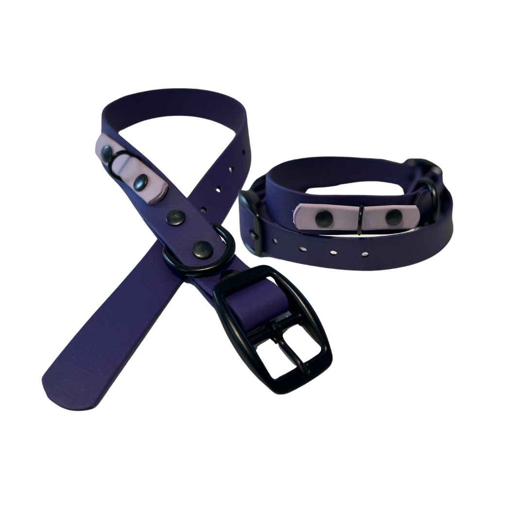 Promo Collier 1’’ en Biothane – Élégance, Résistance et Confort pour Chien