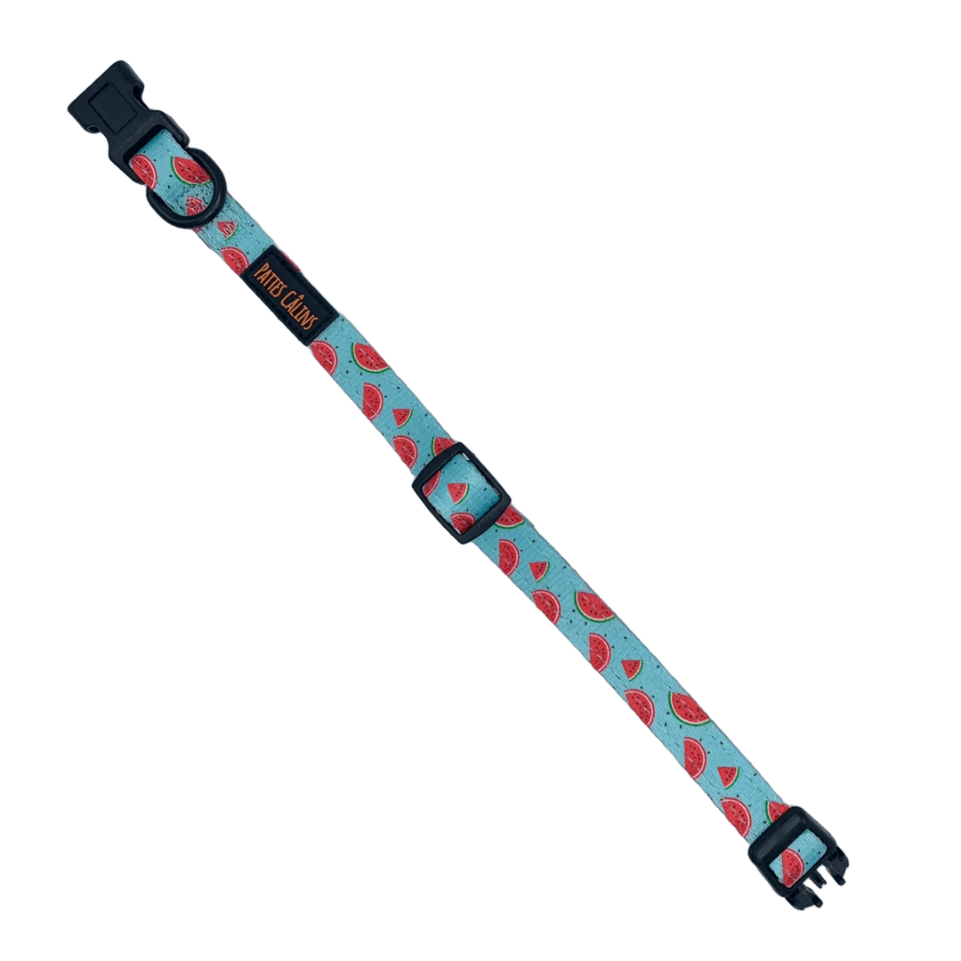 Ensemble “Melon” – Harnais, laisse et collier en tissu pour petit chien ou chat | 79,99$