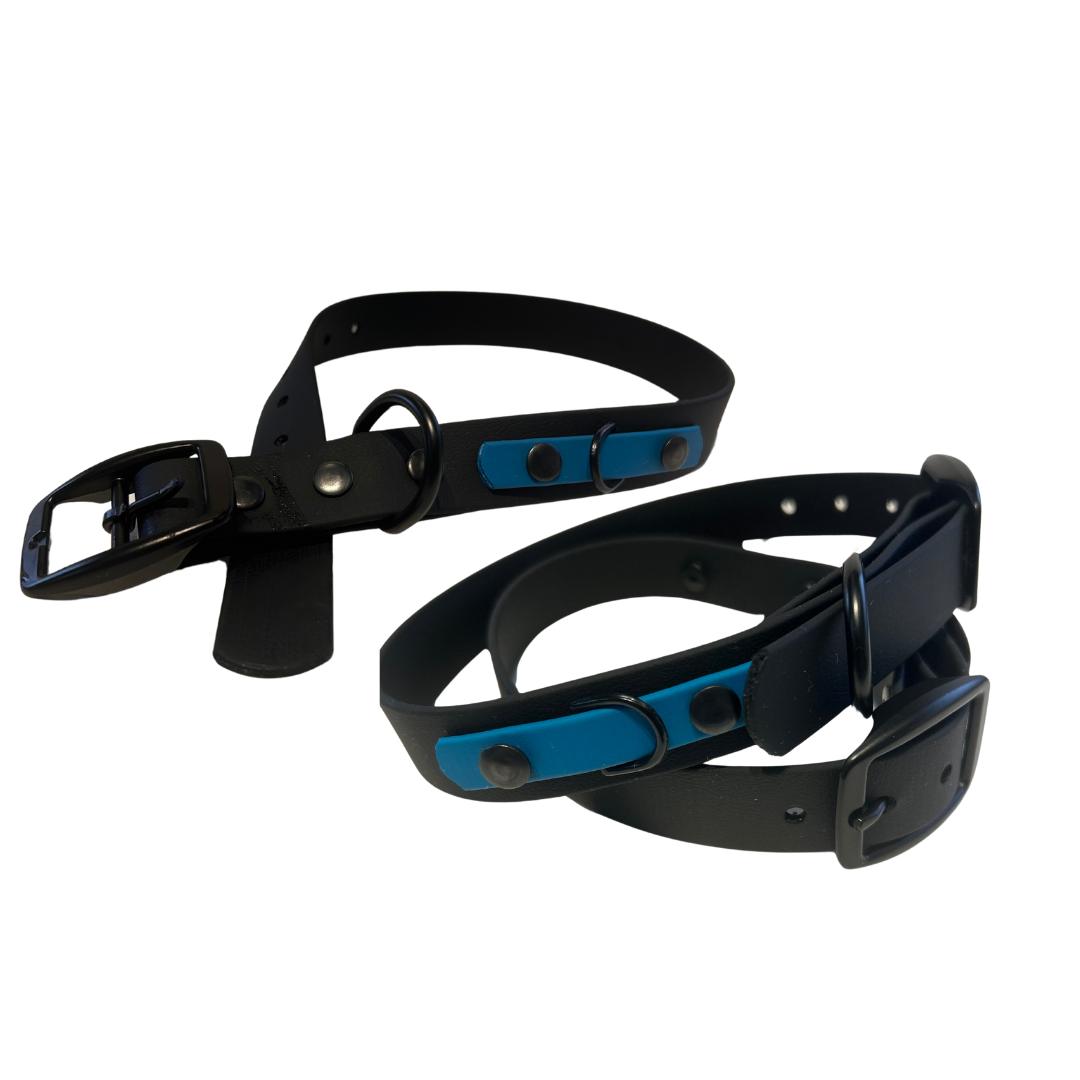 Promo Collier 1’’ en Biothane – Élégance, Résistance et Confort pour Chien