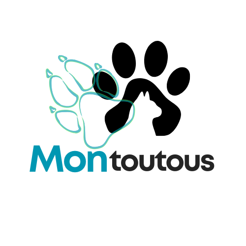 Montoutous