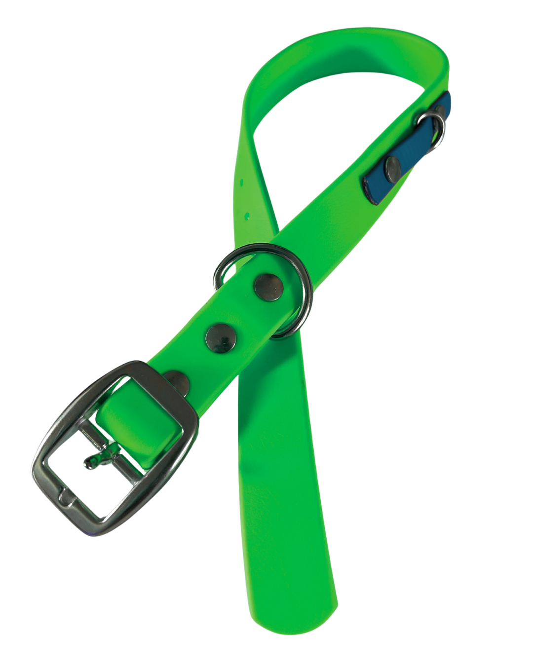 Promo Spéciale sur le Collier standard 1" en Biothane pour Chien – Fait Main au Québec