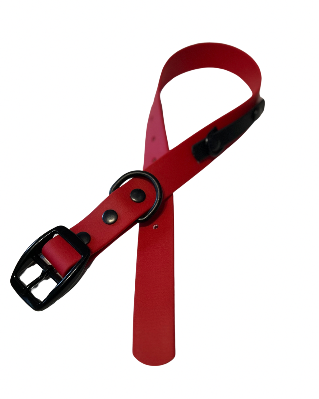 Collier 3/4’’ en Biothane pour chien - Fait Main au Québec - Montoutous
