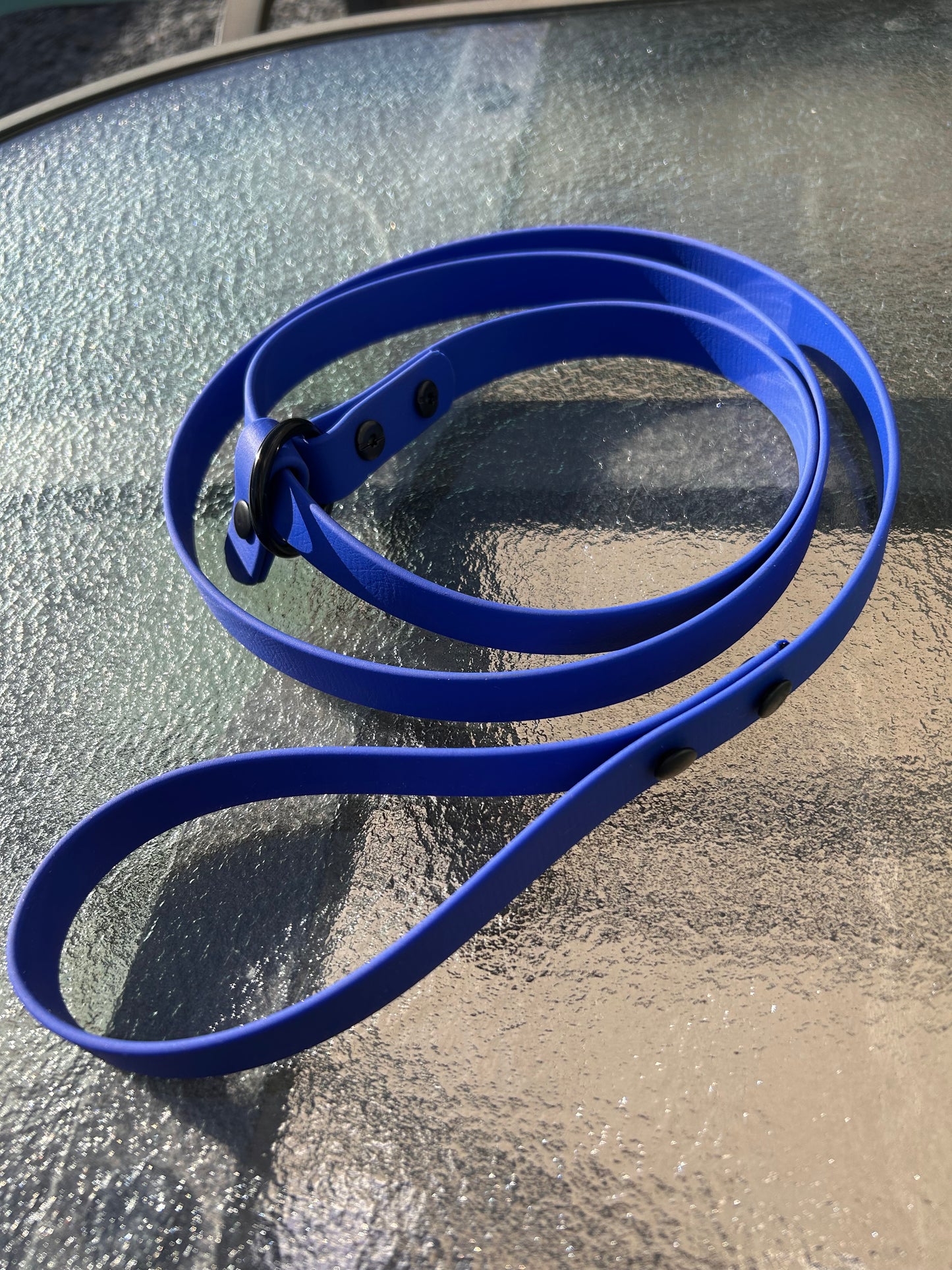 Laisse lasso en Biothane pour chien - Fait Main au Québec - Montoutous
