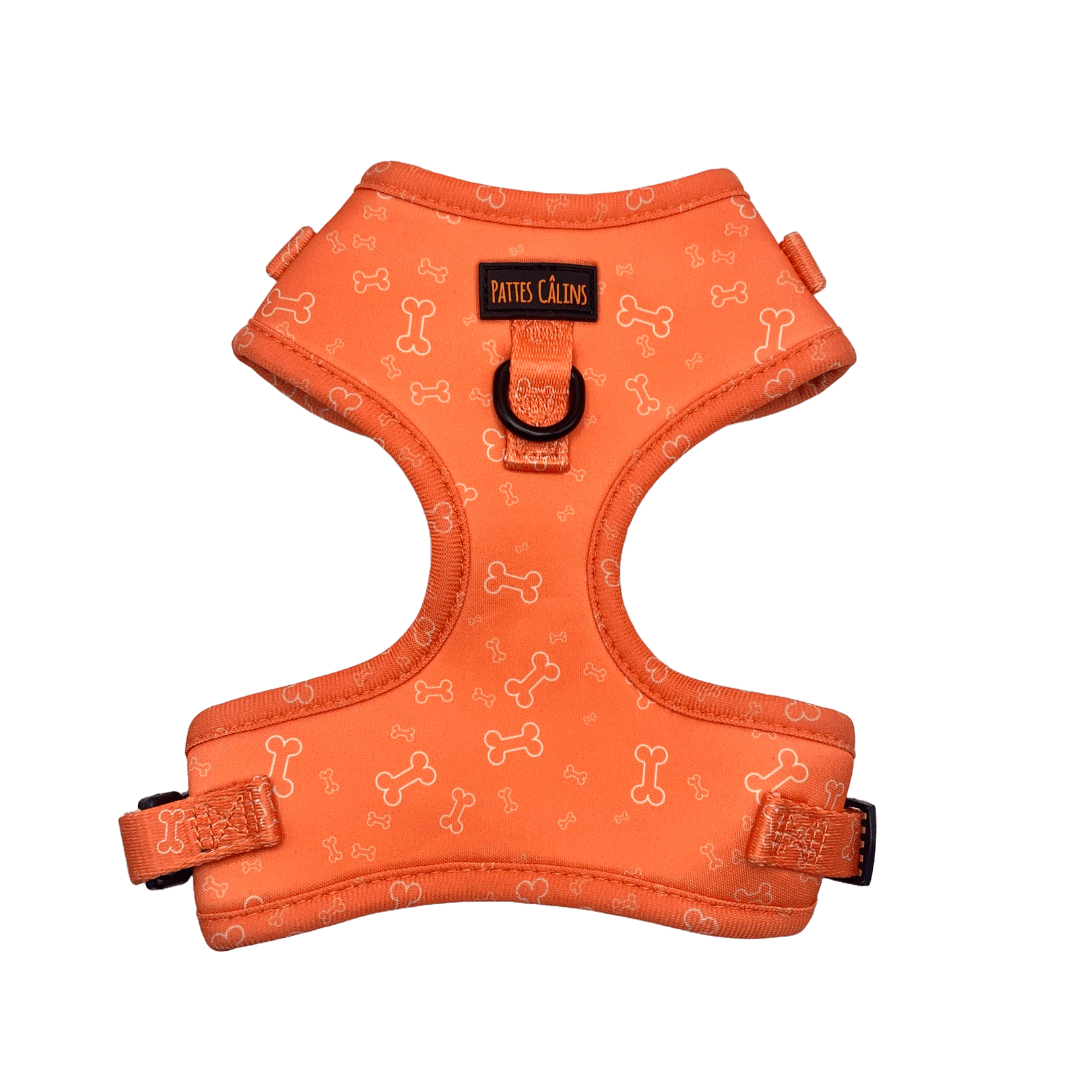 Ensemble “Y a un os” – Harnais, laisse, collier et pochette Petit chien et chat 84,99 $