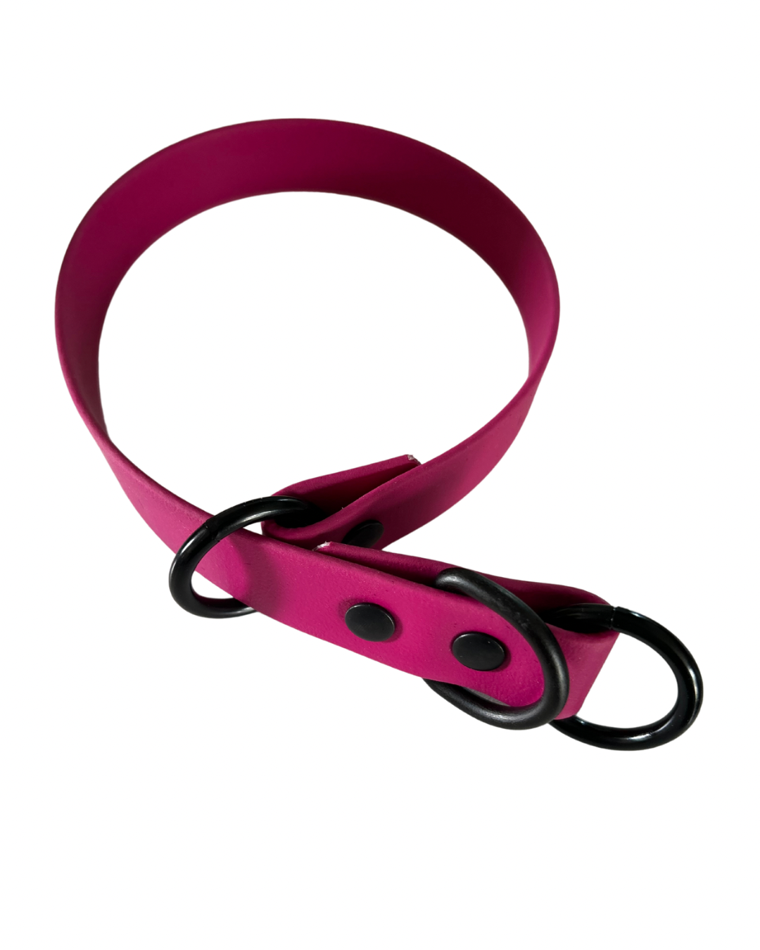 Collier Slip 3/4 en Biothane pour chien – Fait Main au Québec - Montoutous