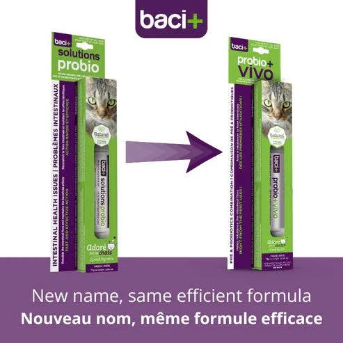 Probio+ Vivo – Pâte Pré & Probiotiques pour Chats & Chatons - Montoutous