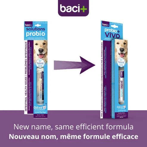 Probio+ Vivo – Pâte Pré & Probiotiques pour Chiens & Chiots - Montoutous