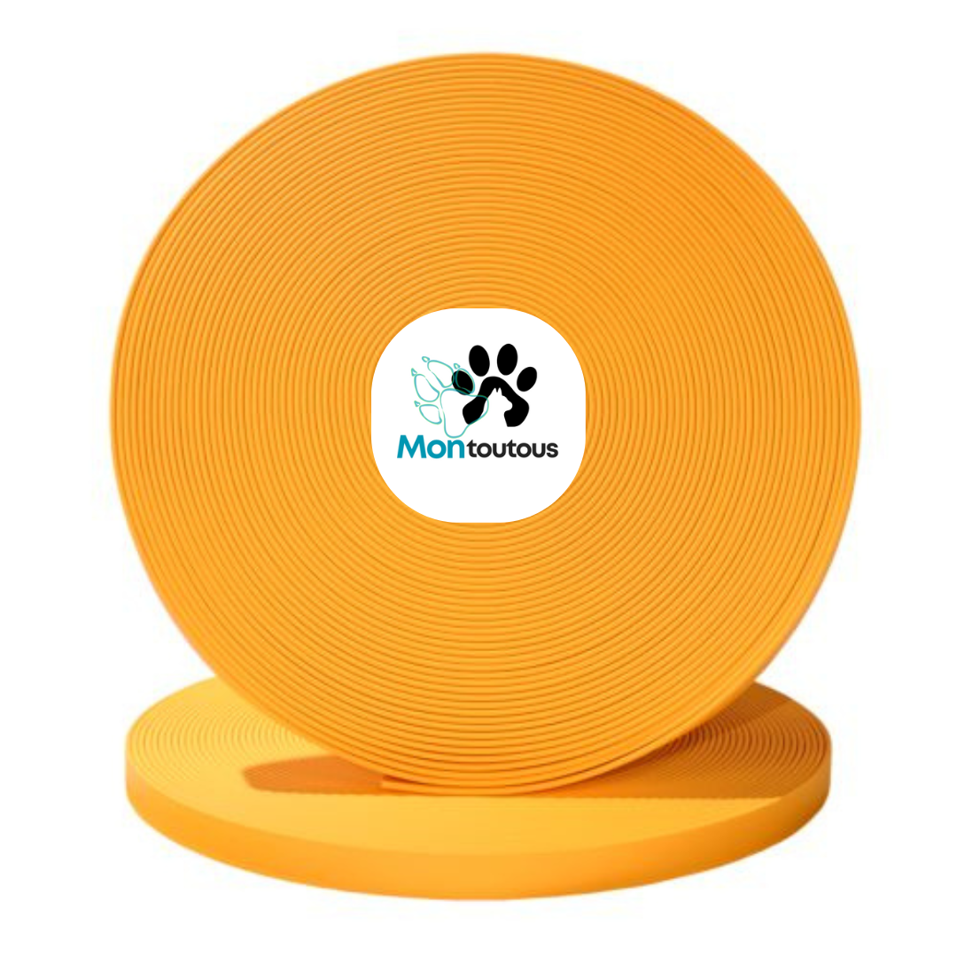 Collier 1’’ en Biothane pour chien – Attache noir- Fait Main au Québec - Montoutous
