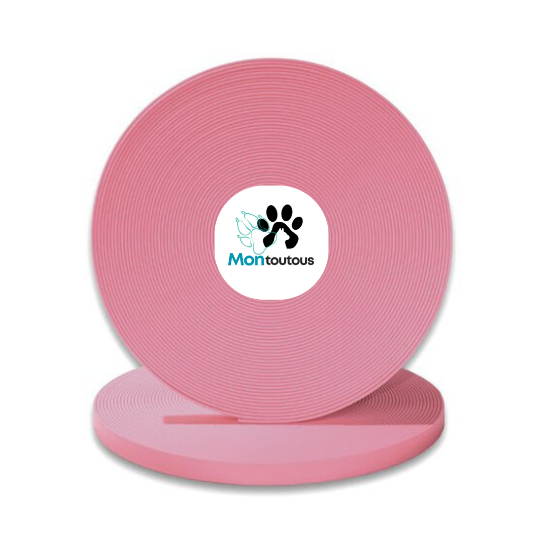 Longe TWO SNAP pour Chien en Biothane – Fait Main au Québec - Montoutous