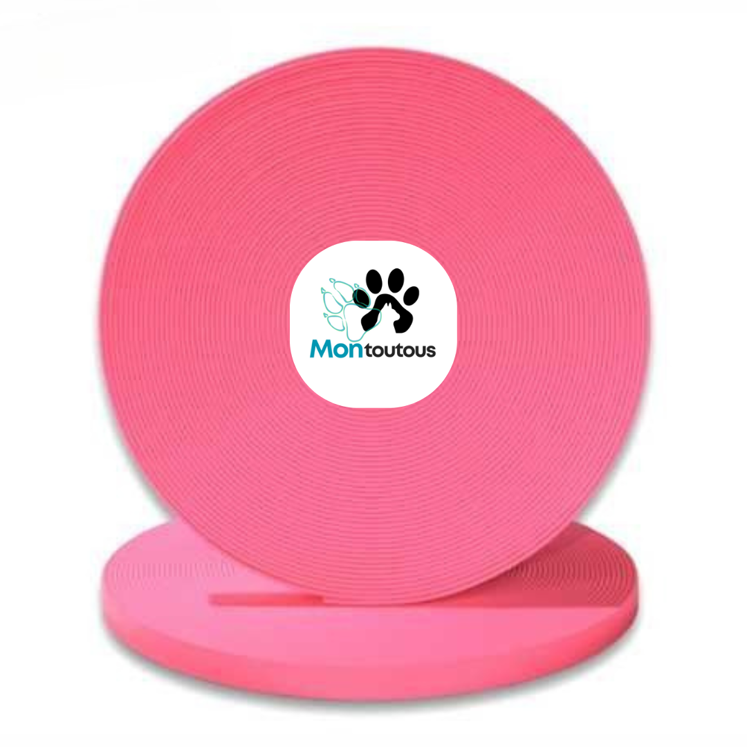 Collier 1’’ en Biothane pour chien – Attache noir- Fait Main au Québec - Montoutous
