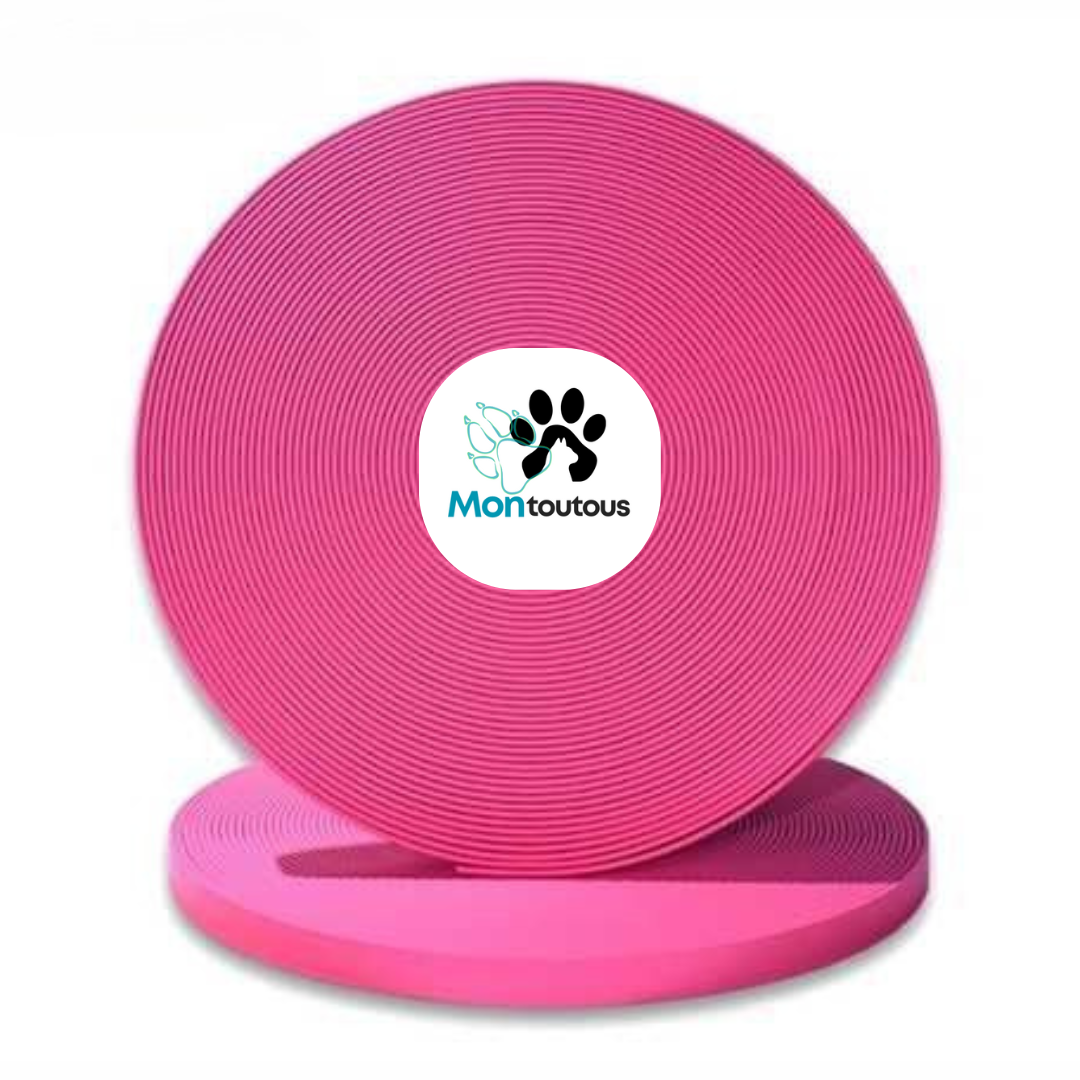 Collier 1’’ en Biothane pour chien – Attache noir- Fait Main au Québec - Montoutous