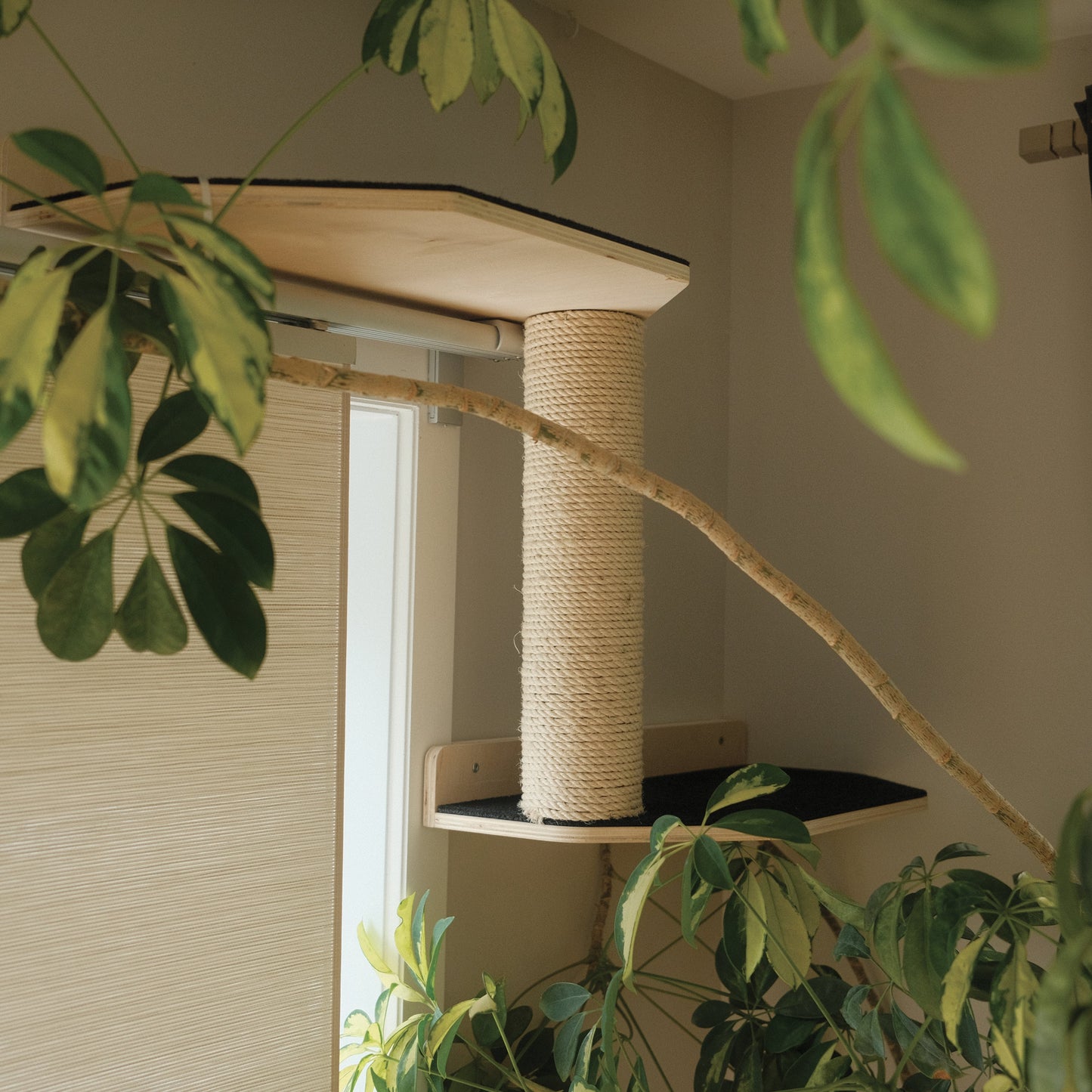 Kit Mural pour Chat – Aire de Jeu Murale Complète et Modulable