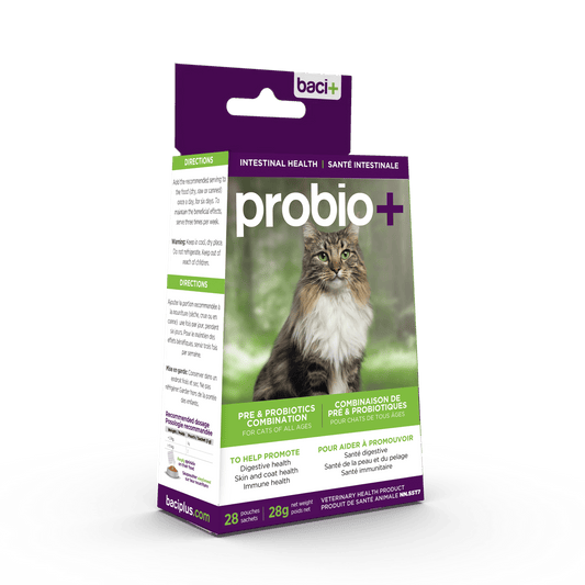 Probio+ – Pré & Probiotiques Naturels pour Chats & Chatons - Montoutous