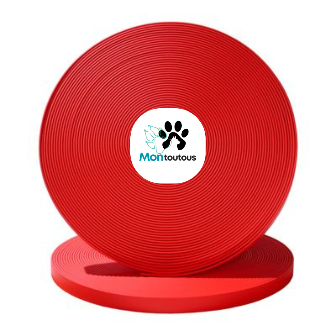 Collier 1’’ en Biothane pour chien – Attache noir- Fait Main au Québec - Montoutous