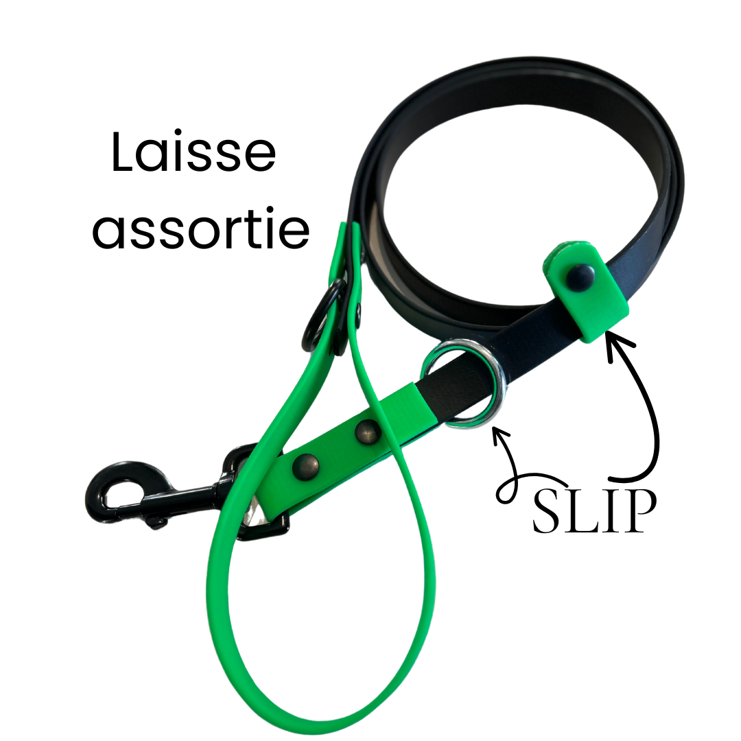 Laisse 3/4 pour Chien en Biothane – Fait Main au Québec - Montoutous