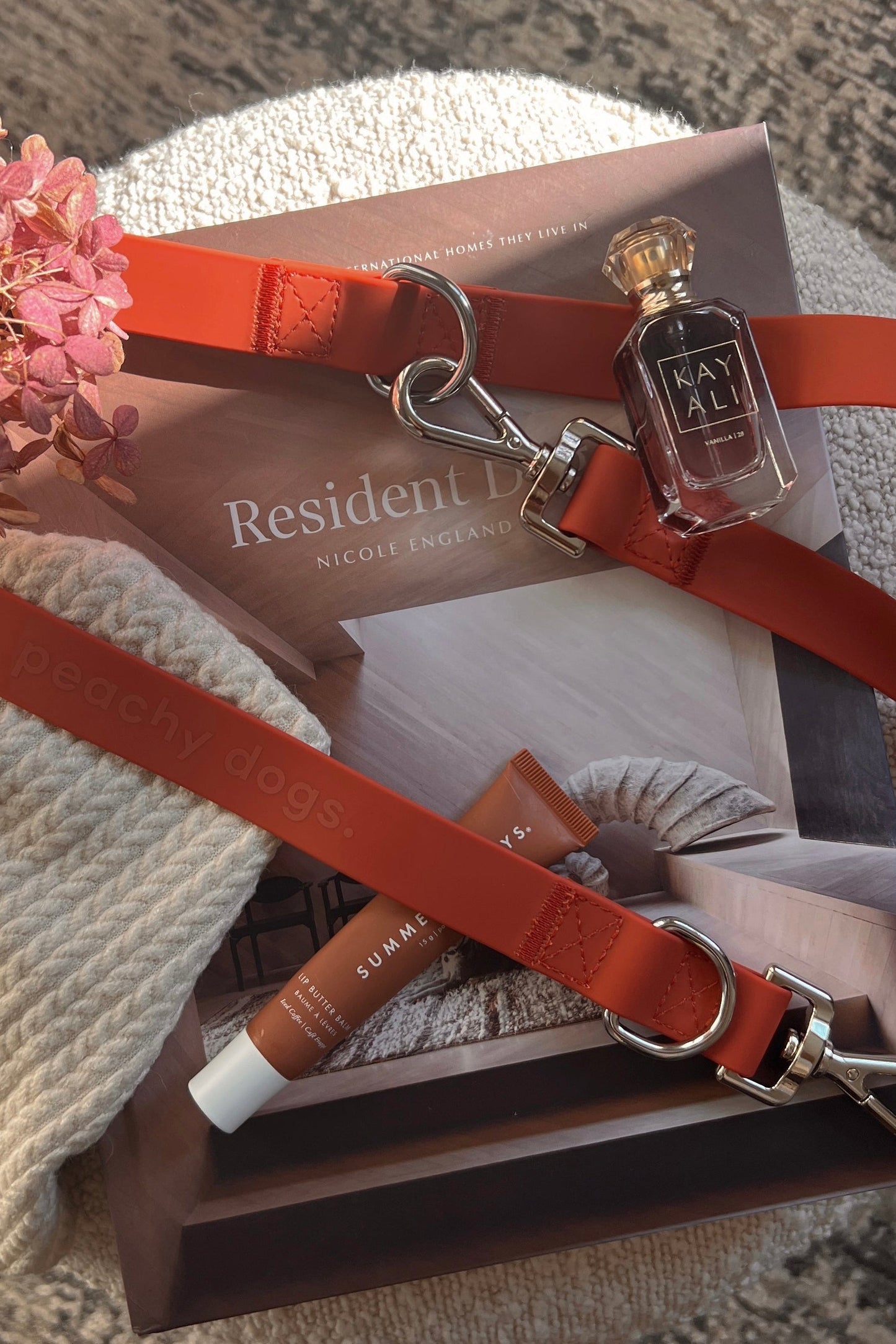 Ensemble Chestnut – Harnais et Laisse pour Chien