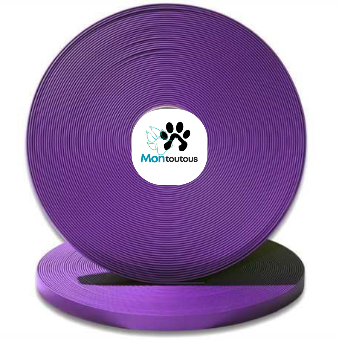Collier étrangleur 3/4 en Biothane pour chien – Attache "NICKEL"- Fait Main au Québec - Montoutous