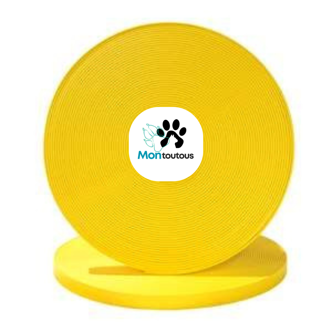 Collier 1’’ en Biothane pour chien – Attache noir- Fait Main au Québec - Montoutous