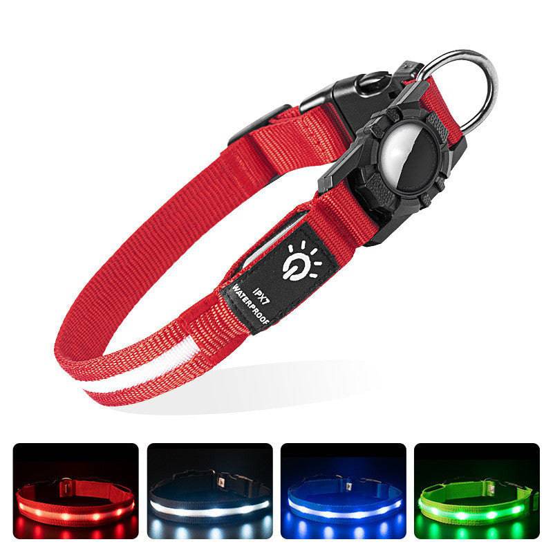 Collier Lumineux en Nylon – Sécurité & Confort pour Animaux - Montoutous