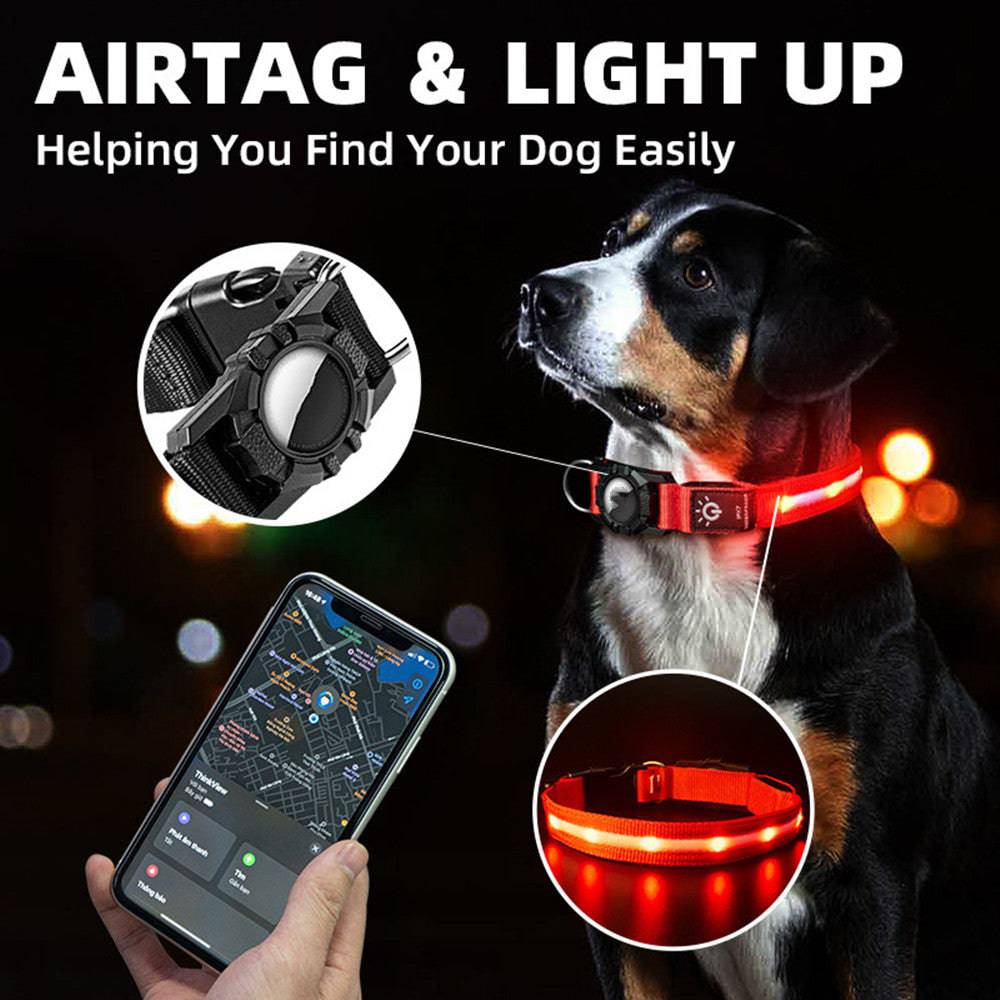 Collier Lumineux en Nylon – Sécurité & Confort pour Animaux - Montoutous