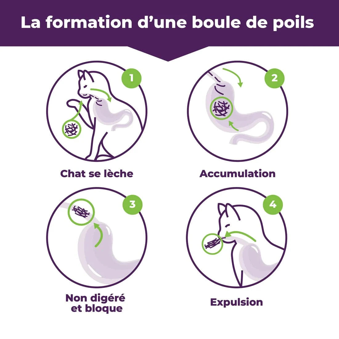 Formule Chats Capricieux – Prévention & Élimination des Boules de Poils - Montoutous