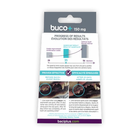 Buco+ 150mg – Soins Dentaires Naturels pour Chiens et Chats +15KG - Montoutous