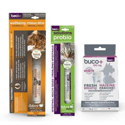 Trousse Santé Globale pour Chatons – Digestion, Boules de Poils & Hygiène Buccodentaire - Montoutous