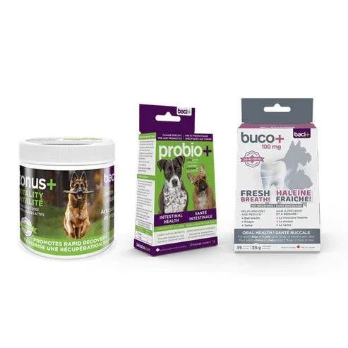Trousse Vitalité & Soins Complets pour Chiens -15KG – Digestion, Articulations & Hygiène - Montoutous