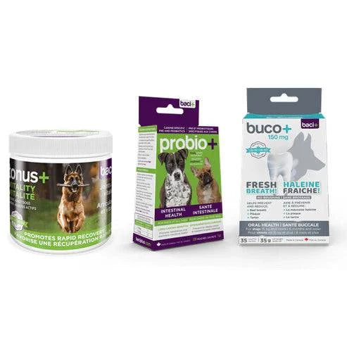 Trousse Vitalité & Soins Complets pour Chiens Adultes +15KG – Articulations, Digestion et Hygiène - Montoutous