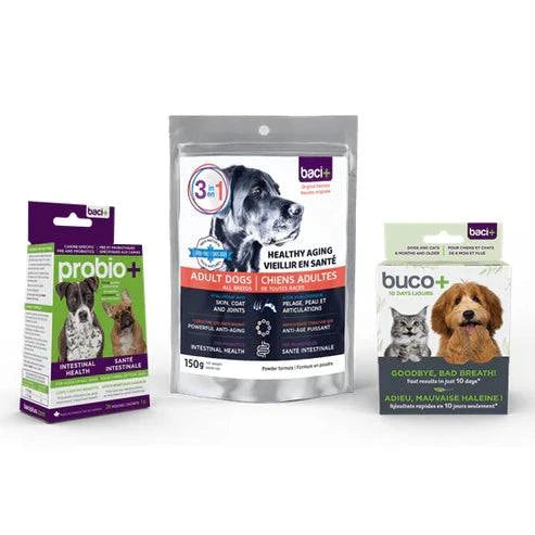 Trousse Vitalité & Soins pour Chiens Vieillissants +15KG – Articulations, Digestion & Hygiène - Montoutous