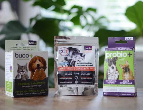 Trousse Vitalité & Soins pour Chiens Vieillissants -15KG – Articulations, Digestion & Hygiène - Montoutous
