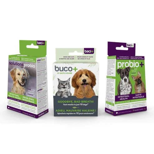 Trousse Santé pour Chiots – Digestion & Mauvaise Haleine (6 à 12 Mois) - Montoutous