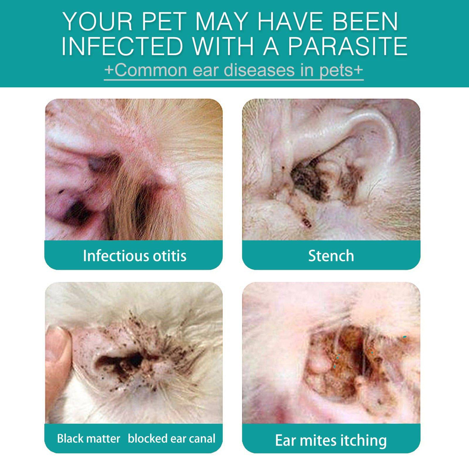 Lingettes Nettoyantes Oreilles – Hygiène & Soin Anti-Acariens pour Chiens & Chats - Montoutous