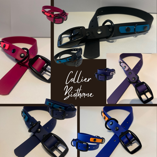 Collier 3/4’’ en Biothane pour chien – Attache noir- Fait Main au Québec - Montoutous