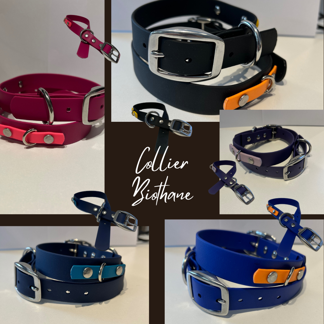 Collier 3/4’’ en Biothane pour chien – Attache Nickel - Fait Main au Québec - Montoutous