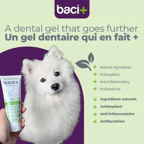 gel dentaire buco+ | soin enzymatique | chats et chiens - Montoutous