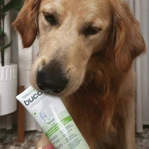 gel dentaire buco+ | soin enzymatique | chats et chiens - Montoutous