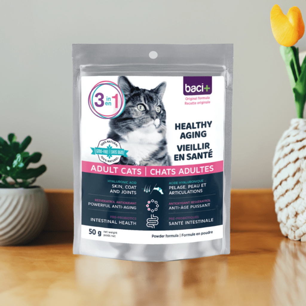 3en1 – Soutien Articulaire, Digestif & Cardiaque pour Chats Seniors - Montoutous