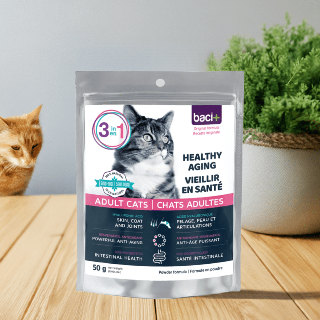 3en1 – Soutien Articulaire, Digestif & Cardiaque pour Chats Seniors - Montoutous