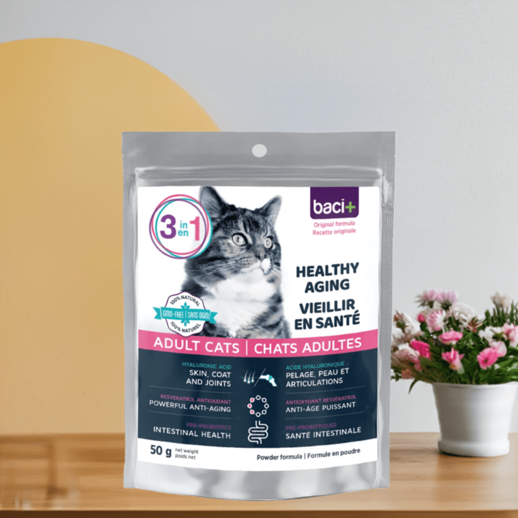 3en1 – Soutien Articulaire, Digestif & Cardiaque pour Chats Seniors - Montoutous