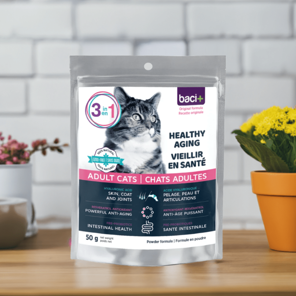 3en1 – Soutien Articulaire, Digestif & Cardiaque pour Chats Seniors - Montoutous