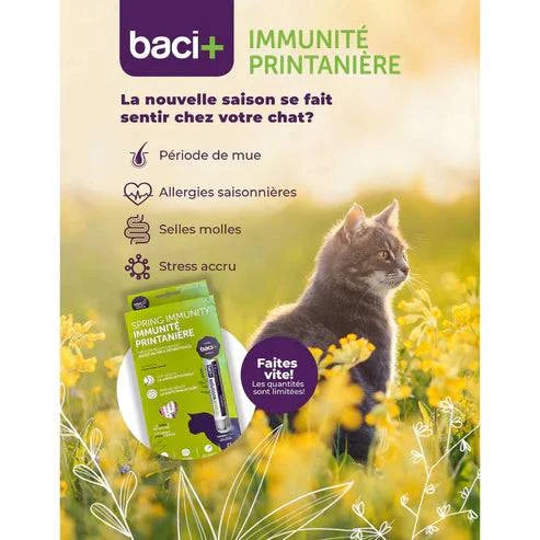 Trousse Immunité Printanière pour Chats – Pré & Probiotiques | Digestion & Défenses - Montoutous
