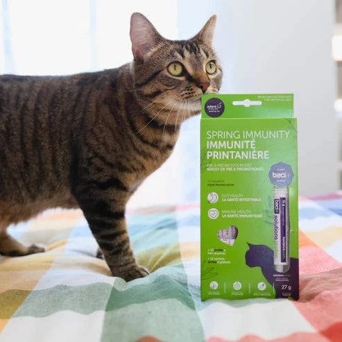 Trousse Immunité Printanière pour Chats – Pré & Probiotiques | Digestion & Défenses - Montoutous
