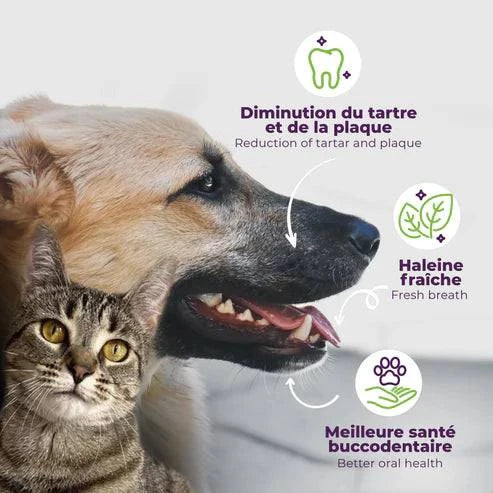 Buco+ 100mg – Soins Dentaires Naturels pour Chats et Chiens -15KG - Montoutous