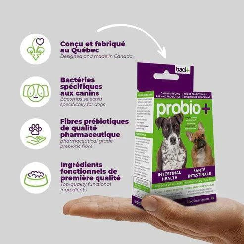 Solutions Probio – Pré & Probiotiques Naturels pour Chiens & Chiots - Montoutous