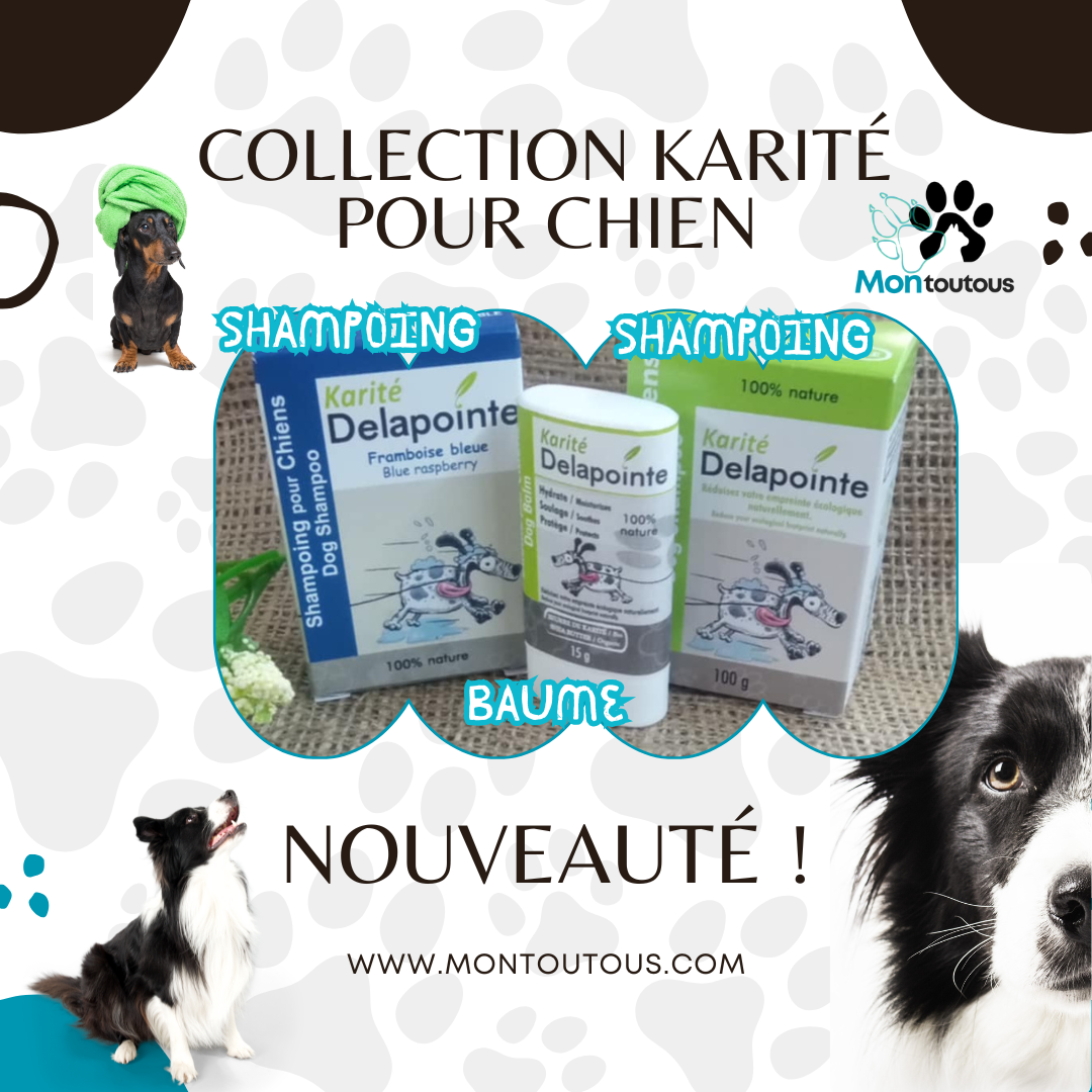 Ensemble Shampoing & Baume Karité – Soin Hydratant et Protecteur pour Chiens